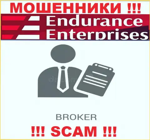 Endurance Enterprises не внушает доверия, Брокер - конкретно то, чем занимаются указанные internet воры