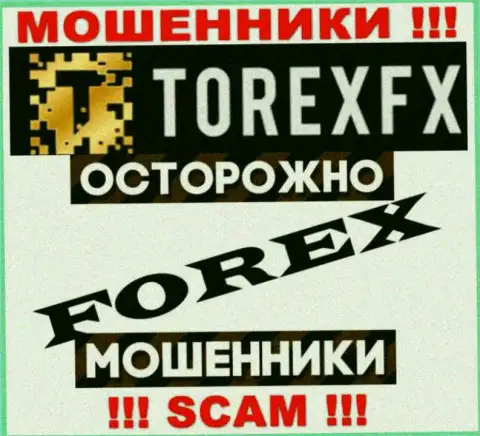 Область деятельности ТорексФХ: Форекс - отличный заработок для internet аферистов