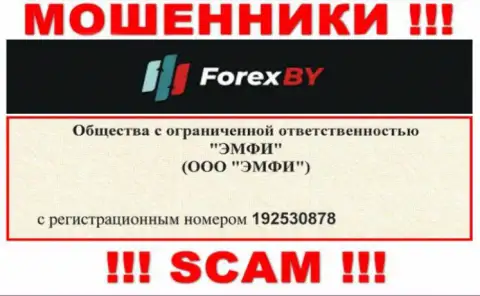 На сайте обманщиков Forex BY расположен именно этот рег. номер указанной компании: 192530878