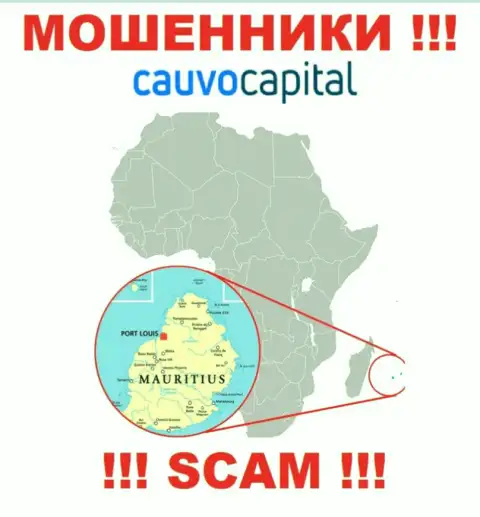 Организация CauvoCapital ворует вложенные деньги людей, зарегистрировавшись в офшоре - Mauritius