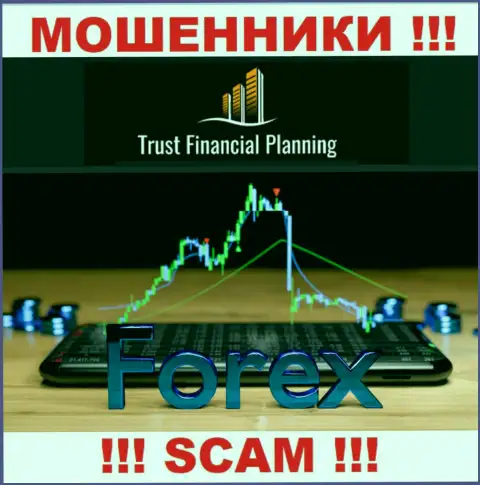 Форекс - именно в такой области промышляют профессиональные интернет махинаторы Trust Financial Planning