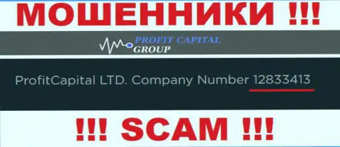 Регистрационный номер Profit Capital Group, который представлен мошенниками на их интернет-портале: 12833413