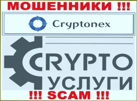 Связавшись с CryptoNex, область работы которых Криптовалютные услуги, рискуете остаться без своих средств