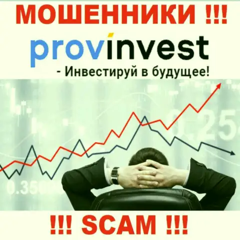 ProvInvest Org лишают денежных вкладов людей, которые повелись на легальность их работы