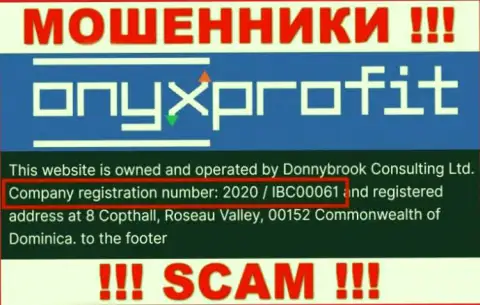 Номер регистрации, который принадлежит конторе ОниксПрофит Про - 2020 / IBC00061