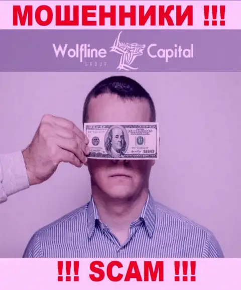Деятельность Wolfline Capital НЕЗАКОННА, ни регулятора, ни лицензии на осуществление деятельности НЕТ