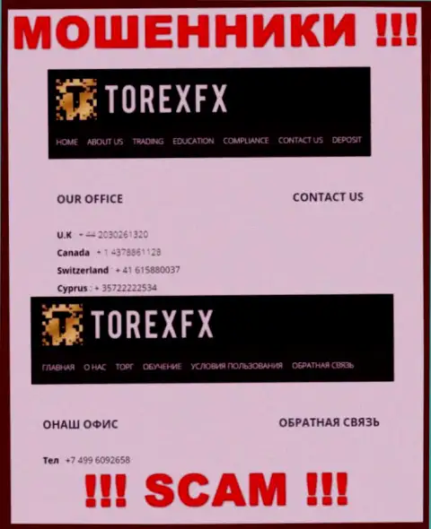 В арсенале у разводил из организации Torex FX есть не один номер телефона