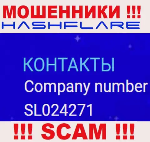 Регистрационный номер, под которым зарегистрирована контора ХэшФлэр: SL024271
