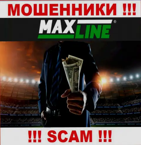 Вы не вернете деньги, вложенные в компанию Max-Line Net - интернет-кидалы !!! У них нет регулятора