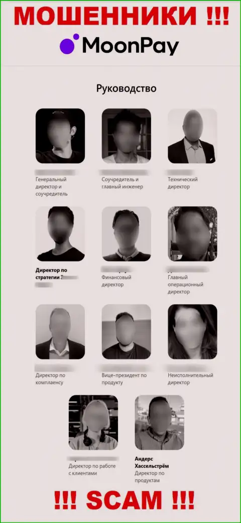 МоонПэй - это кидалы, посему имена и контактные данные непосредственных руководителей представляют фейковые