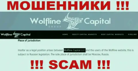 Юридическое лицо компании Wolfline Capital - это ООО Волфлайн Кэпитал