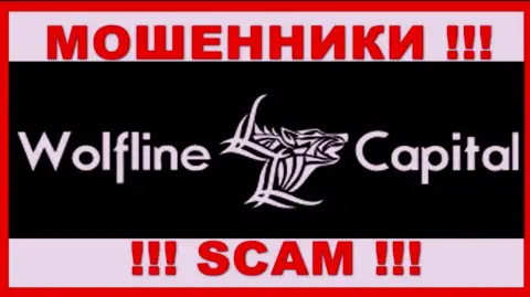 Wolfline Capital LLC - это ОБМАНЩИКИ ! SCAM !!!