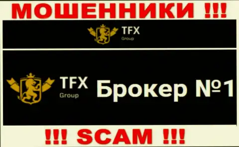 Не надо доверять деньги TFX-Group Com, поскольку их направление деятельности, ФОРЕКС, капкан