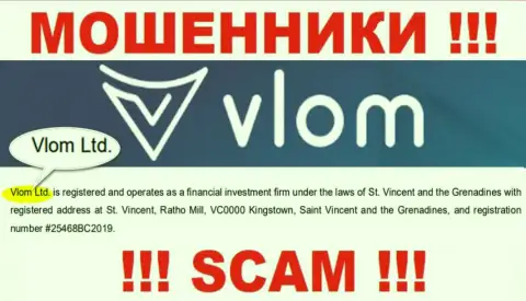 Юридическое лицо, которое владеет internet-ворюгами Влом Ком - это Vlom Ltd