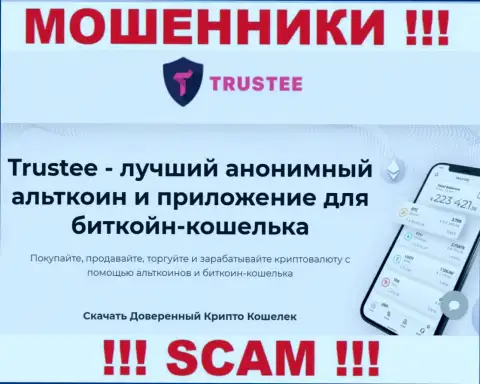 Trustee Wallet - это коварные интернет мошенники, вид деятельности которых - Криптокошелек