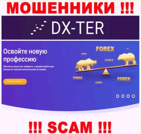 С организацией DX-Ter Com связываться не советуем, их направление деятельности ФОРЕКС - это капкан