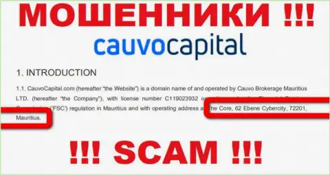 Невозможно забрать депозиты у организации CauvoCapital Com - они осели в офшоре по адресу The Core, 62 Ebene Cybercity, 72201, Mauritius
