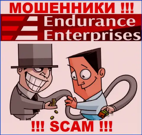 Заработок с организацией Endurance Enterprises Вы не увидите - не торопитесь вводить дополнительные финансовые средства