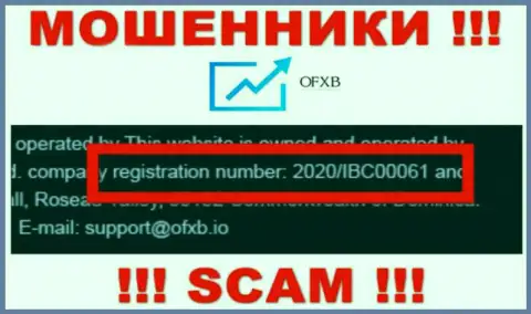 Номер регистрации, который принадлежит организации OFXB Io - 2020/IBC00061