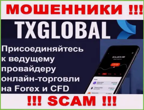 Во всемирной сети интернет прокручивают свои делишки аферисты TXGlobal, направление деятельности которых - Форекс