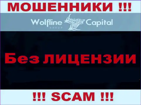 Нереально отыскать информацию об лицензии internet-лохотронщиков Wolfline Capital - ее попросту нет !!!