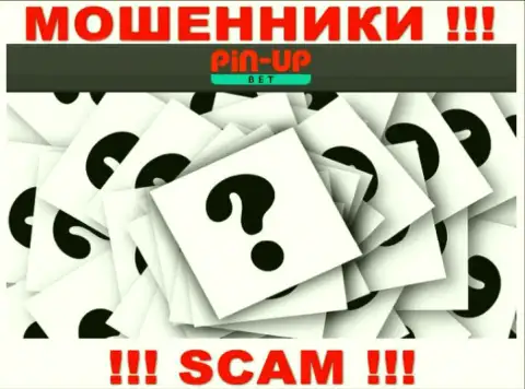На сайте PinUpBet не указаны их руководители - мошенники без последствий отжимают средства
