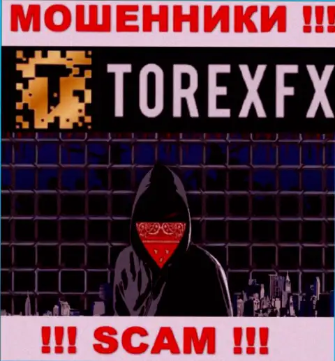 TorexFX 42 Marketing Limited не разглашают сведения об руководстве организации