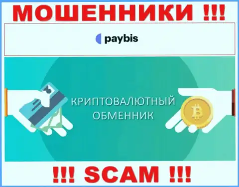 Крипто обменник - это направление деятельности мошеннической компании PayBis