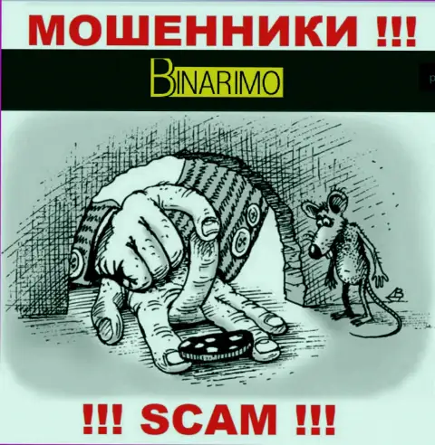 Не поведитесь на уговоры агентов из Binarimo Com - internet мошенники