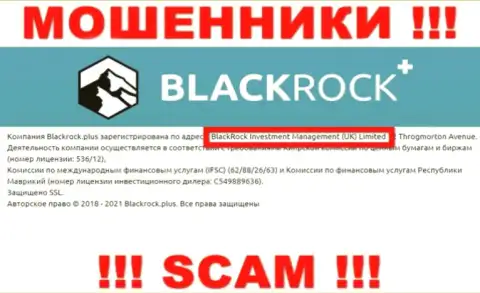 Владельцами БлэкРок Инвестмент Менеджмент (УК) Лтд является компания - BlackRock Investment Management (UK) Ltd