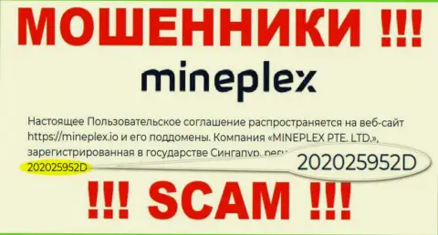 Рег. номер очередной противоправно действующей организации Mine Plex - 202025952D