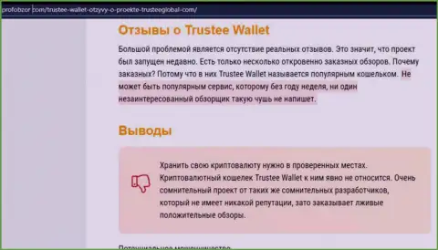 Trustee Wallet - это МОШЕННИКИ ! Воруют денежные вложения доверчивых людей (обзор)