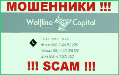 Будьте бдительны, когда звонят с неизвестных телефонных номеров, это могут быть интернет-мошенники WolflineCapital