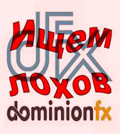 DominionFX - логотип форекс конторы