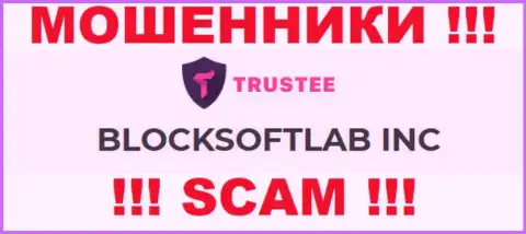 Трасти Кошелек - МОШЕННИКИ !!! Управляет указанным лохотроном BLOCKSOFTLAB INC