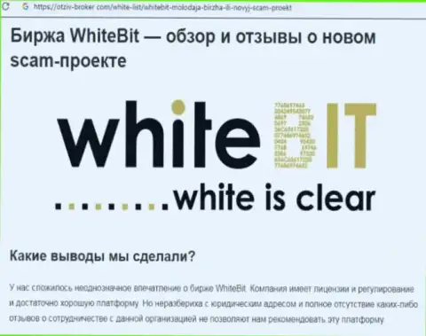 White Bit - это организация, сотрудничество с которой приносит только лишь потери (обзор)