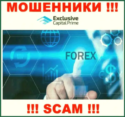 Forex - это сфера деятельности мошеннической организации Эксклюзив Капитал
