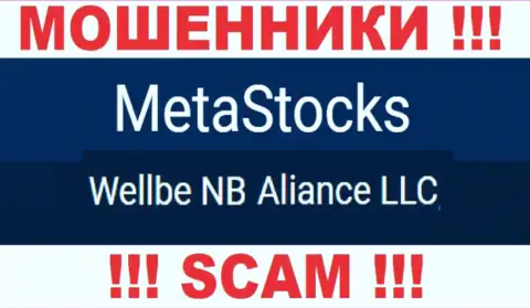 Юридическое лицо интернет-аферистов MetaStocks - это Wellbe NB Aliance LLC