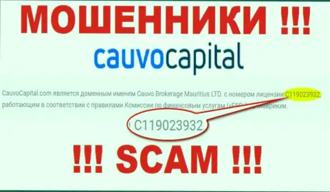 Мошенники Cauvo Capital искусно дурачат лохов, хотя и указали свою лицензию на web-ресурсе