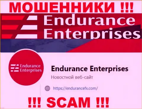 Установить связь с обманщиками из компании EnduranceEnterprises Вы сможете, если напишите сообщение на их электронный адрес