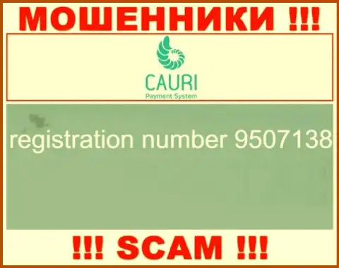 Номер регистрации, который принадлежит мошеннической организации Каури Ком: 9507138