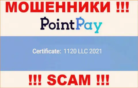 Регистрационный номер Поинт Пей, который размещен мошенниками на их web-портале: 1120 LLC 2021