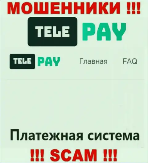 Основная деятельность TelePay - это Платежная система, будьте осторожны, промышляют противоправно